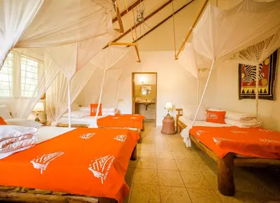 a group of four beds in a room with orange sheets at Meru View Lodge in Usa River