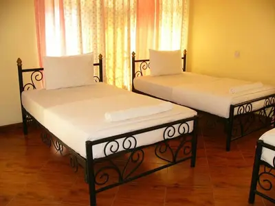 two twin beds in a room with a window at Bright Star Hotel & Safaris in Arusha