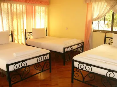 a room with two beds and two windows at Bright Star Hotel & Safaris in Arusha