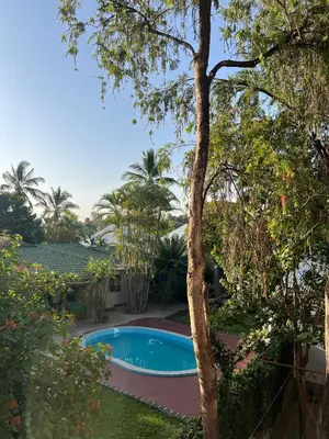a swimming pool in a yard with trees at The Paradise Inn Kilimanjaro in Moshi
