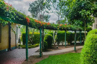 a garden with a pergola with flowers on it at Crest Safari Lodge Bed and Breakfast in Arusha