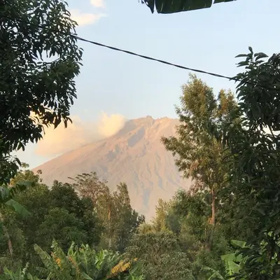 Gallery image of Arusha Holiday Safari in Arusha
