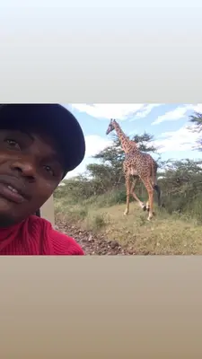 Gallery image of Arusha Holiday Safari in Arusha