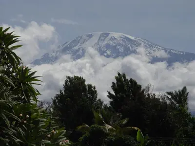 a mountain covered in clouds with trees in the foreground at Ameg Lodge Kilimanjaro in Moshi