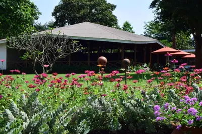 a garden with flowers in front of a building at Ameg Lodge Kilimanjaro in Moshi