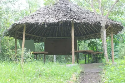 a large straw hut with benches under it at Endasawa Tree Lodge in Usa River