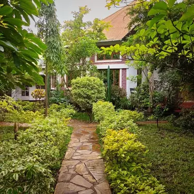 Endasawa Tree Lodge