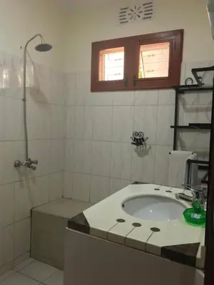 a bathroom with a sink and a shower at Le Parlour in Boma la Ngombe