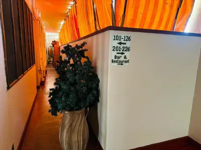 a christmas tree in a hallway with a sign at Arusha Backpackers Hotel in Arusha