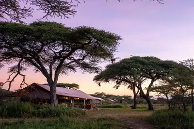 a tent in the middle of a field with trees at Gnu Ndutu Camp in Sinoni