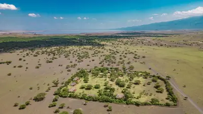 an aerial view of a large field with trees at Lake Natron Maasai giraffe eco Lodge and camping in Mtowabaga