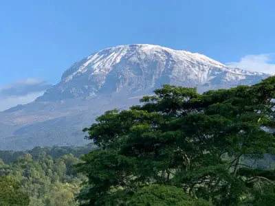 a snow covered mountain with a tree in the foreground at Shimbwe Meadows Home in Moshi