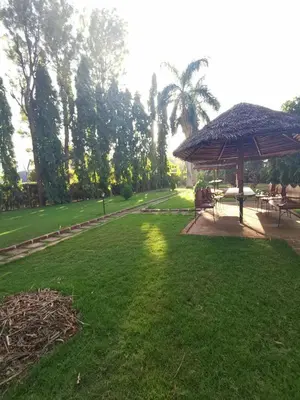 Gallery image of Mama Thea homes in Moshi