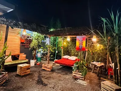 a room with a bed and some plants at night at Savannah House in Arusha