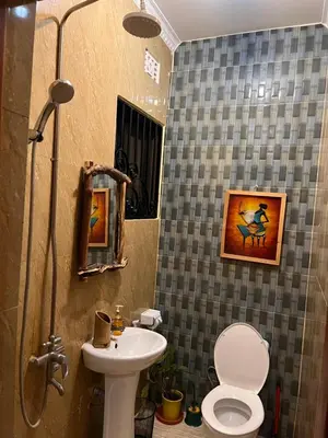 a bathroom with a sink and a toilet and a shower at Savannah House in Arusha