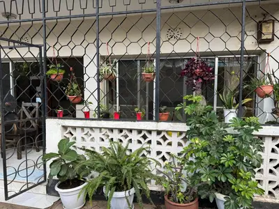 a bunch of potted plants on a building at Wakawaka Hostel Arusha in Arusha