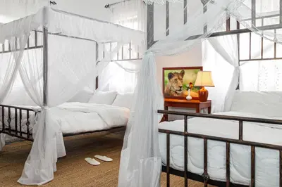 two beds with white drapes in a bedroom at Mama Wilsen House in Arusha