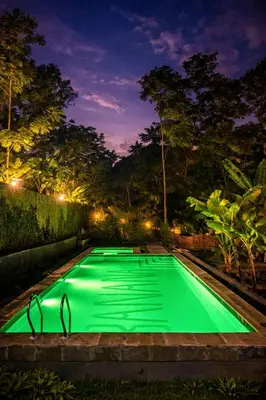 a green swimming pool at night at Banana Farm Eco Hostel in Arusha