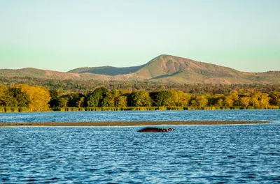 a hippopotamus swimming in a large body of water at Asmorein Hotel in Babati