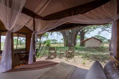 a view of a tent with a table and chairs at Baobab Tented Camp in Kwa Kuchinia