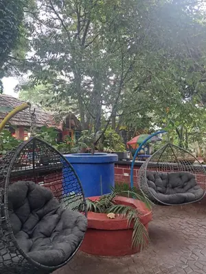 a group of swings in a playground with trees at IBRAHIM Garden Hostel in Arusha