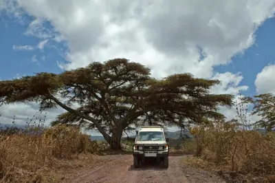 a jeep driving down a dirt road with a tree at Neptune Ngorongoro Luxury Lodge - All Inclusive in Ngorongoro