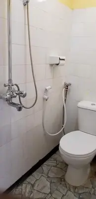 a bathroom with a toilet and a shower at Aivlys Lodge Kilimanjaro in Msaranga