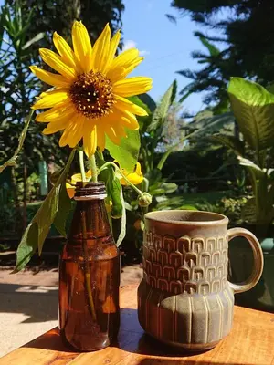 a yellow flower in a vase next to a mug at Kiwavi Home in Moshi