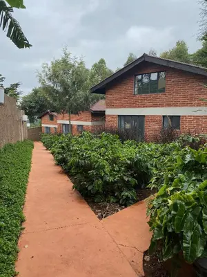 a brick house with a sidewalk in front of a garden at Lilac Hideaway in Karatu