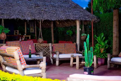 a patio with chairs and a umbrella and a cactus at The Better Inn in Moshi
