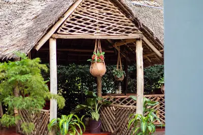 a thatch roofed gazebo with potted plants on it at The Better Inn in Moshi