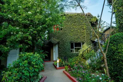 a house covered in ivy with a garden in front of it at Dan Stam Hotel in Arusha