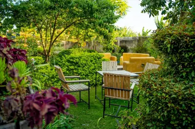 a group of chairs and a table in a garden at Dan Stam Hotel in Arusha