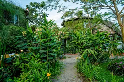 a garden with lush green plants and a building at Dan Stam Hotel in Arusha