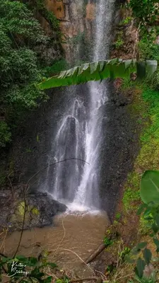 a waterfall in the middle of a forest at Lilac Elevate Inn in Karatu