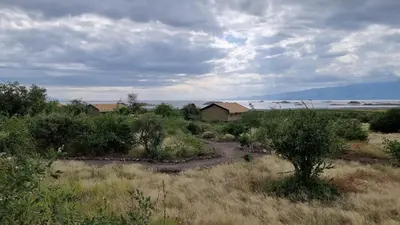 a house in the middle of a field with trees at Africa Safari Lake Natron in Mtowabaga