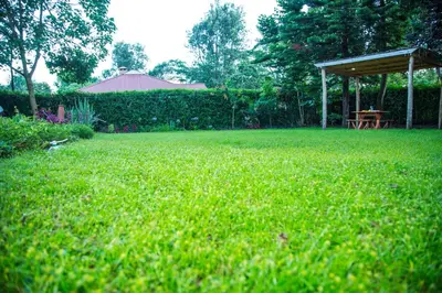 a field of green grass with a gazebo in a yard at Lavender Coffee Farm House in Arusha