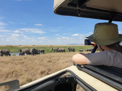 a woman taking a picture of a herd of elephants from a vehicle at Turaco Homestay in Arusha