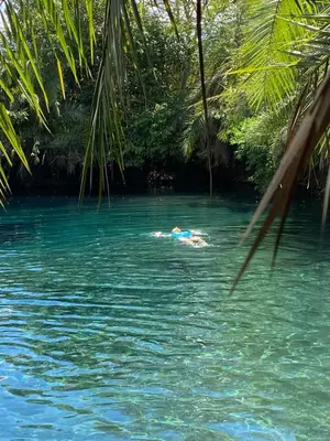 a person swimming in a body of water with palm trees at Turaco Homestay in Arusha