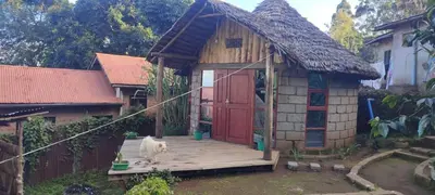 a white cat standing in front of a small house at Mai Kilimanjaro Home Stay in Marangu