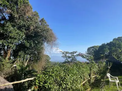 a white chair sitting in a field of trees at Mai Kilimanjaro Home Stay in Marangu