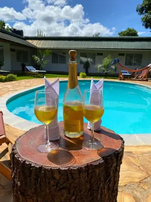 a bottle of wine and two glasses on a tree stump at Karanga River Lodge in Moshi