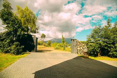 a brick walkway with a tree and a building at Shamba Lodge Cabin B in Arusha