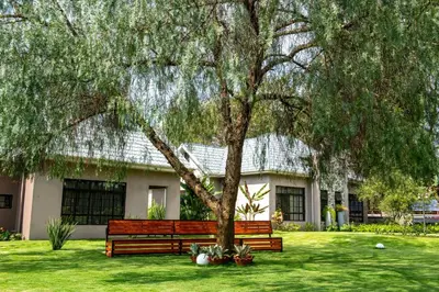 a tree with two benches in front of a house at Kinga Homes Boutique Hotel in Moshi