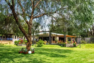 a tree in the yard of a house at Kinga Homes Boutique Hotel in Moshi