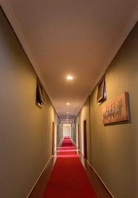 a long hallway with a red carpet on the floor at Panone Hotels - King'ori Kilimanjaro Airport in Moshi