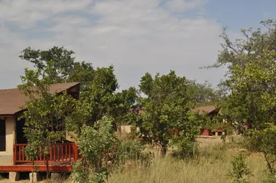 a house in a field with trees in front of it at Elephant Rock Luxury Camp Tarangire in Kaiti