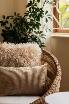 a wicker chair with a pillow and a plant at Tulia Retreat Hotel and Spa in Arusha