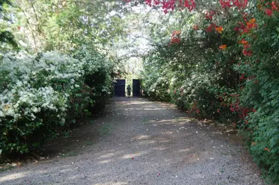 a dirt road with bushes and flowers in a park at Meru House Lekisilai in Arusha
