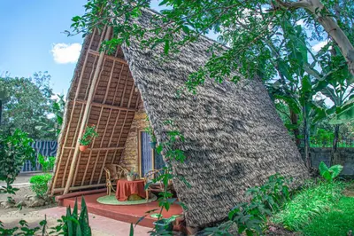 Gallery image of Charming Eco-Homestay near Kilimanjaro International Airport in Arusha